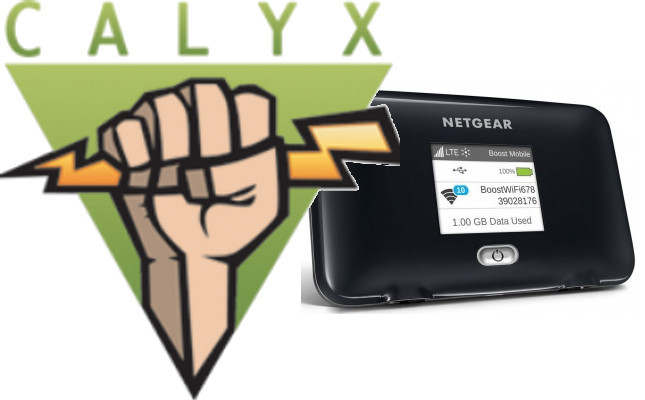 Calyx logo and hotspot