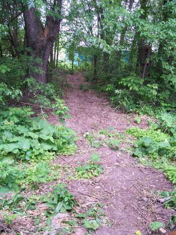 Trench between shed and house